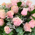 Rosas Rosas - Imagen 2